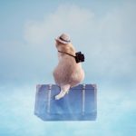 2019年版 スペインでのWi-Fiサービスについて